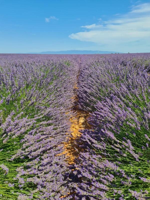 Вилла Escapades En Ventoux Венаск Экстерьер фото